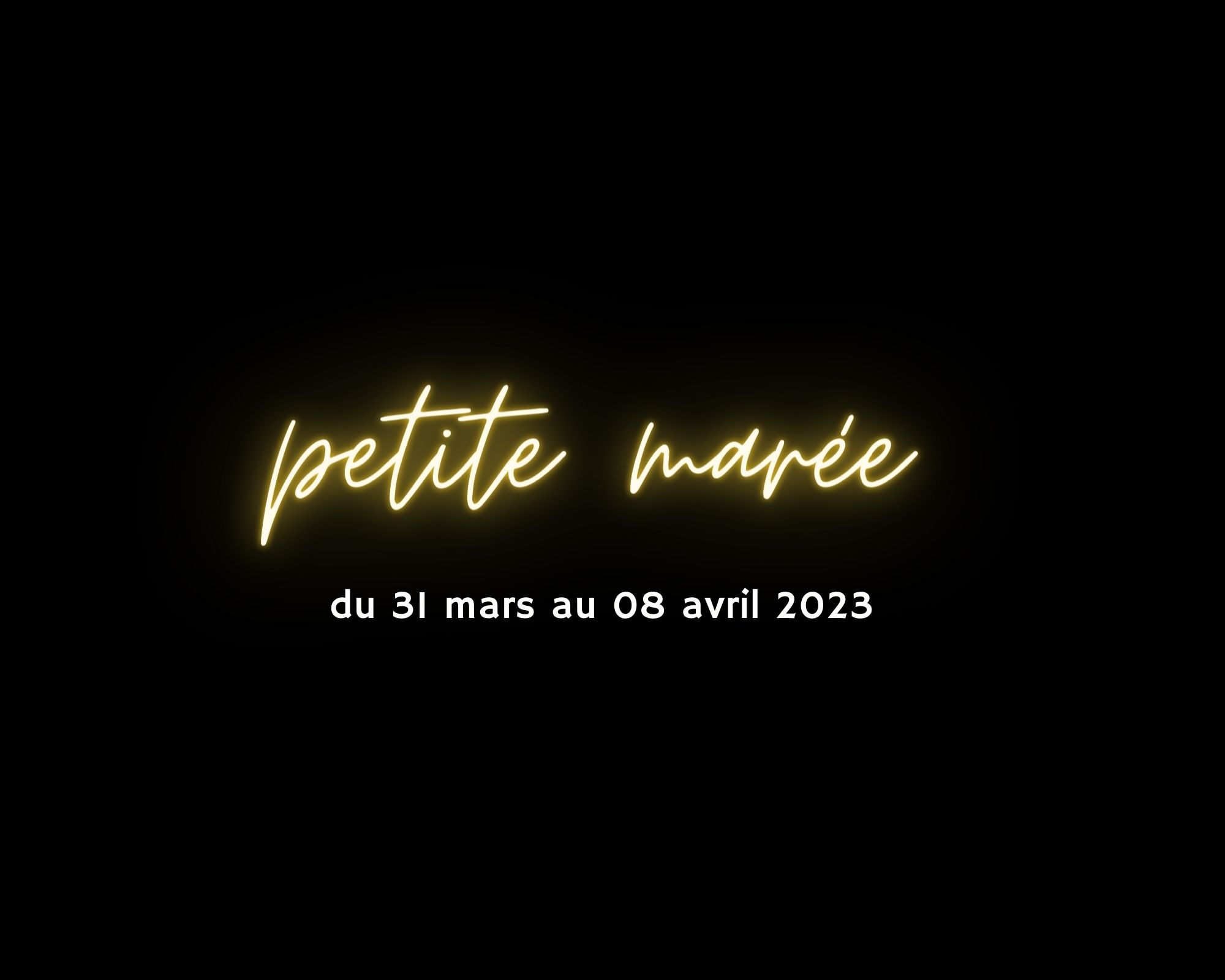 Festival "Petite Marée" du 31 mars au 08 avril 2023