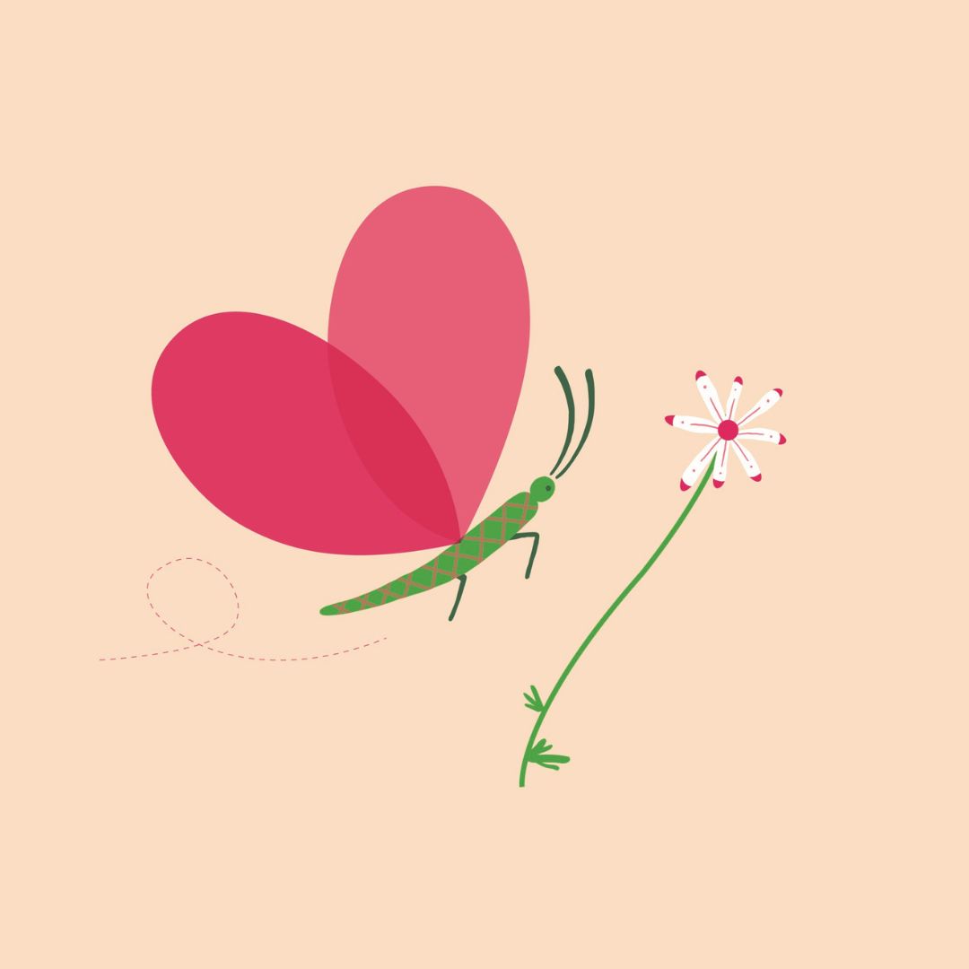 image dessinée de papillon butinant une fleur